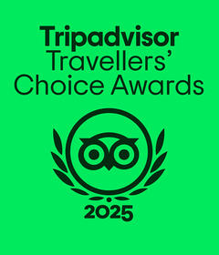 Trip Advisor Logo